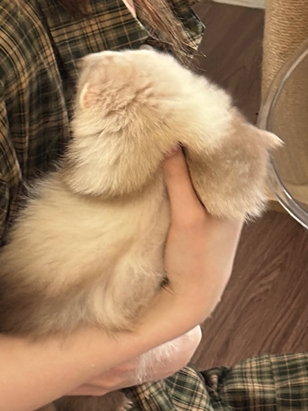 ออม - กรณ์นภัส เศรษฐรัตนพงศ์