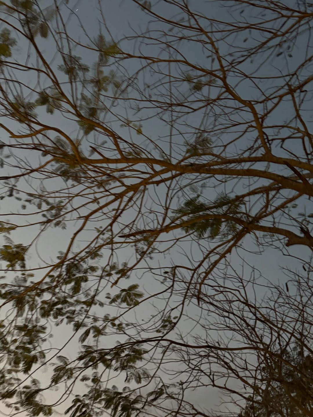 ออม - กรณ์นภัส เศรษฐรัตนพงศ์