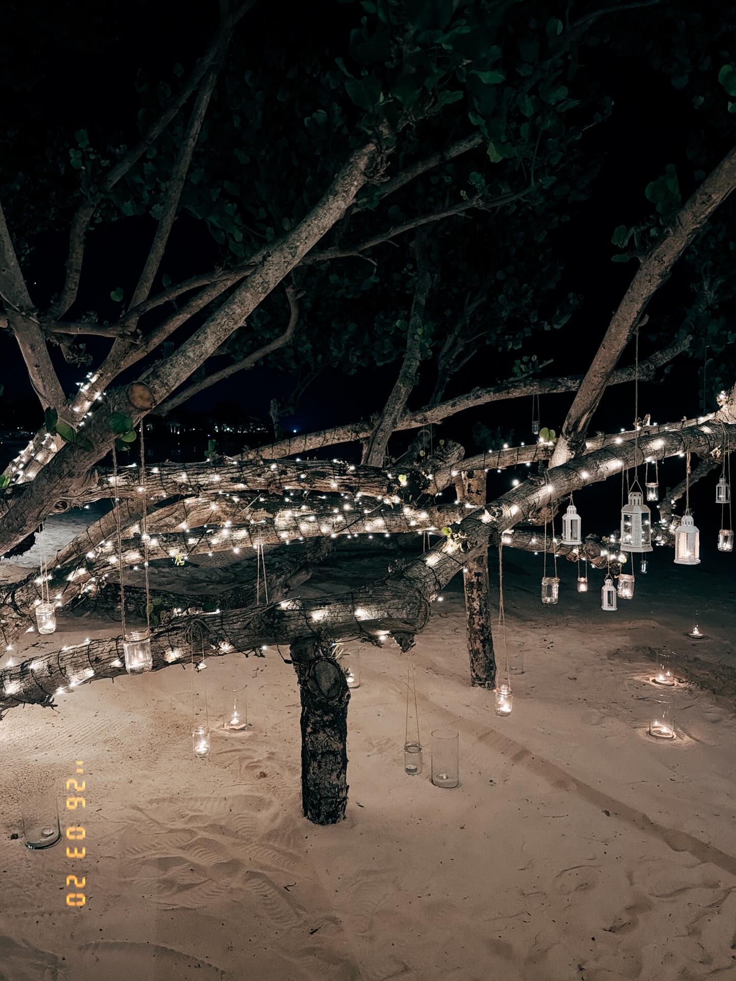 ซี - ศิวัฒน์ โชติชัยชรินทร์