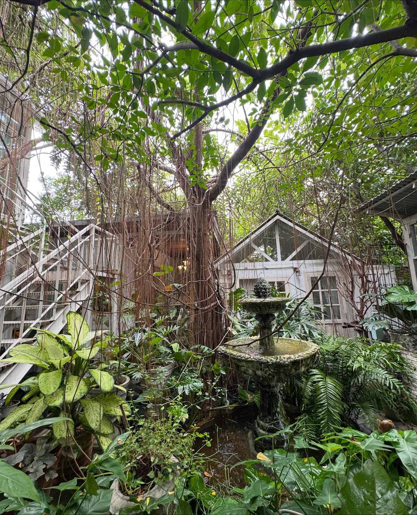 ปั้นจั่น - ปรมะ อิ่มอโนทัย