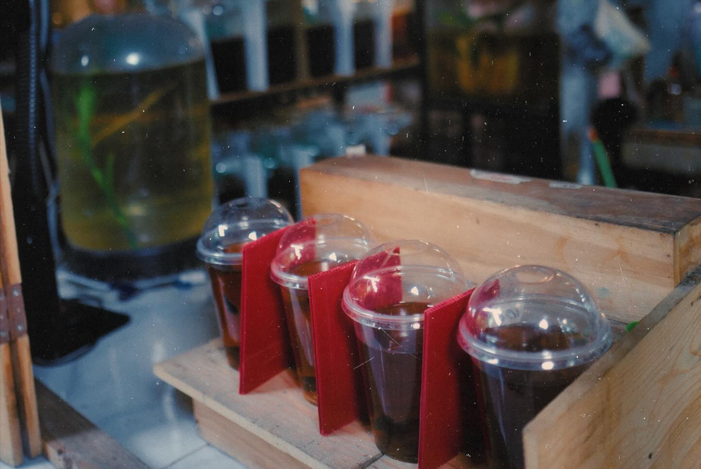 ปั้นจั่น - ปรมะ อิ่มอโนทัย