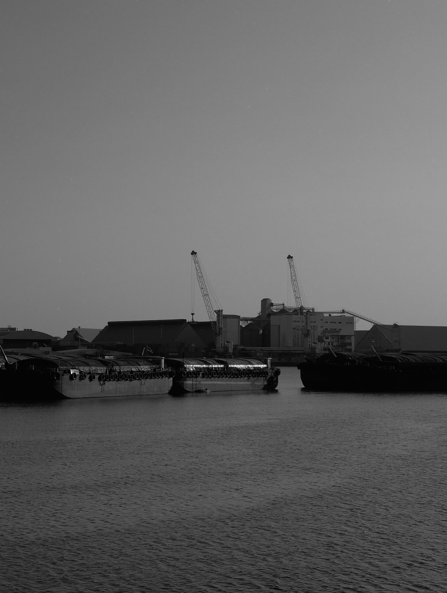 ปั้นจั่น - ปรมะ อิ่มอโนทัย