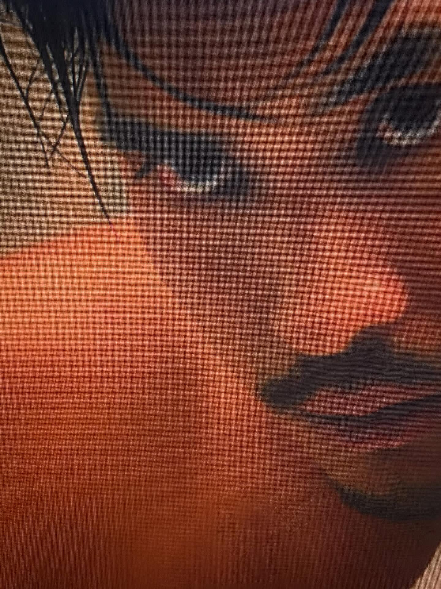 ปั้นจั่น - ปรมะ อิ่มอโนทัย