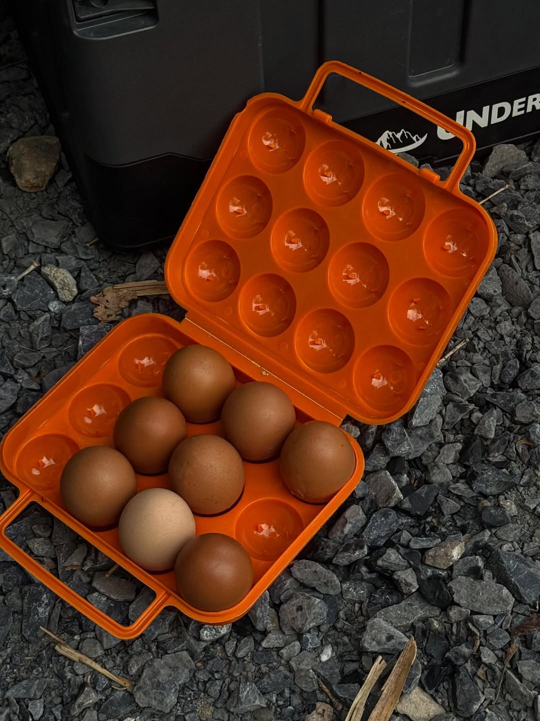 ปั้นจั่น - ปรมะ อิ่มอโนทัย