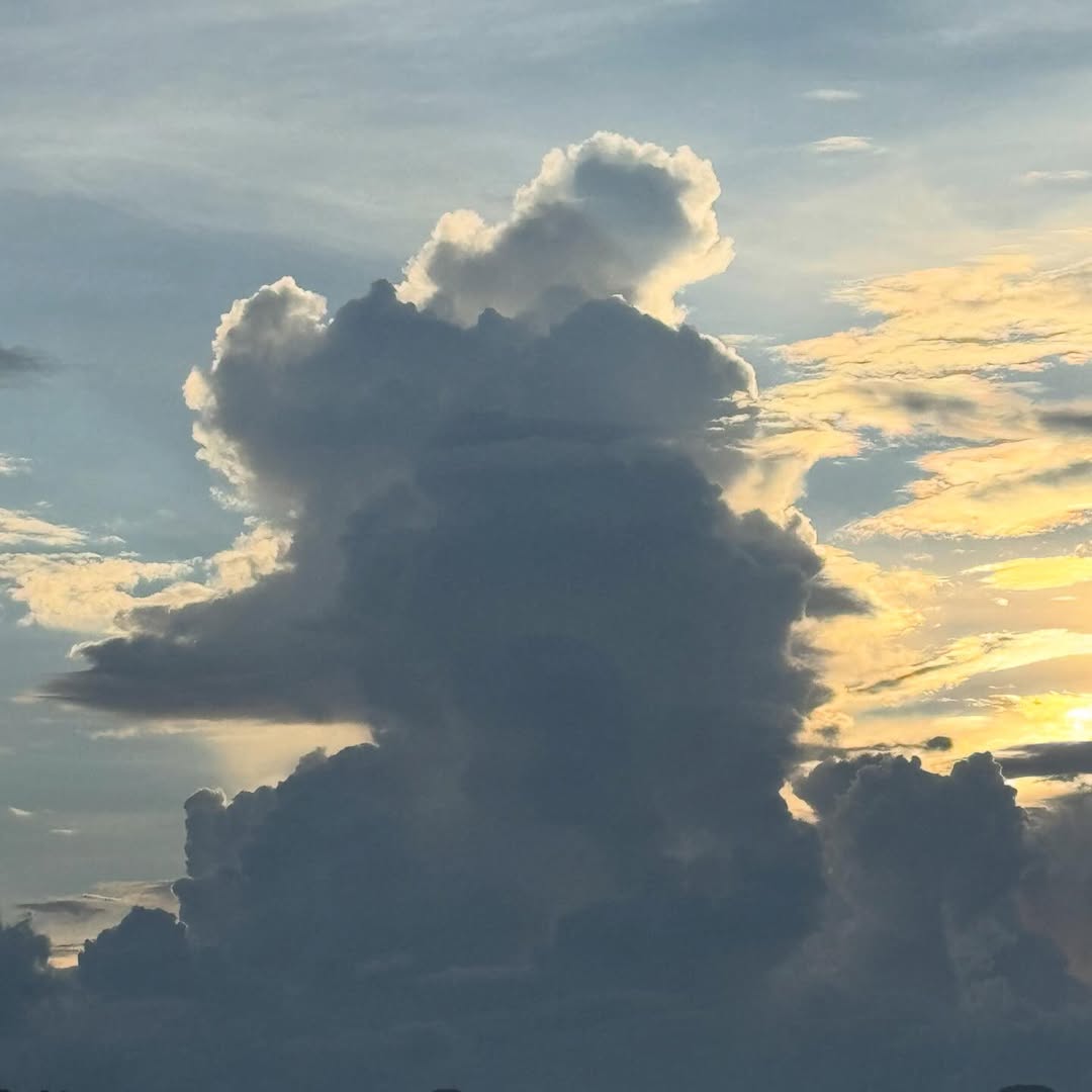 ปั้นจั่น - ปรมะ อิ่มอโนทัย