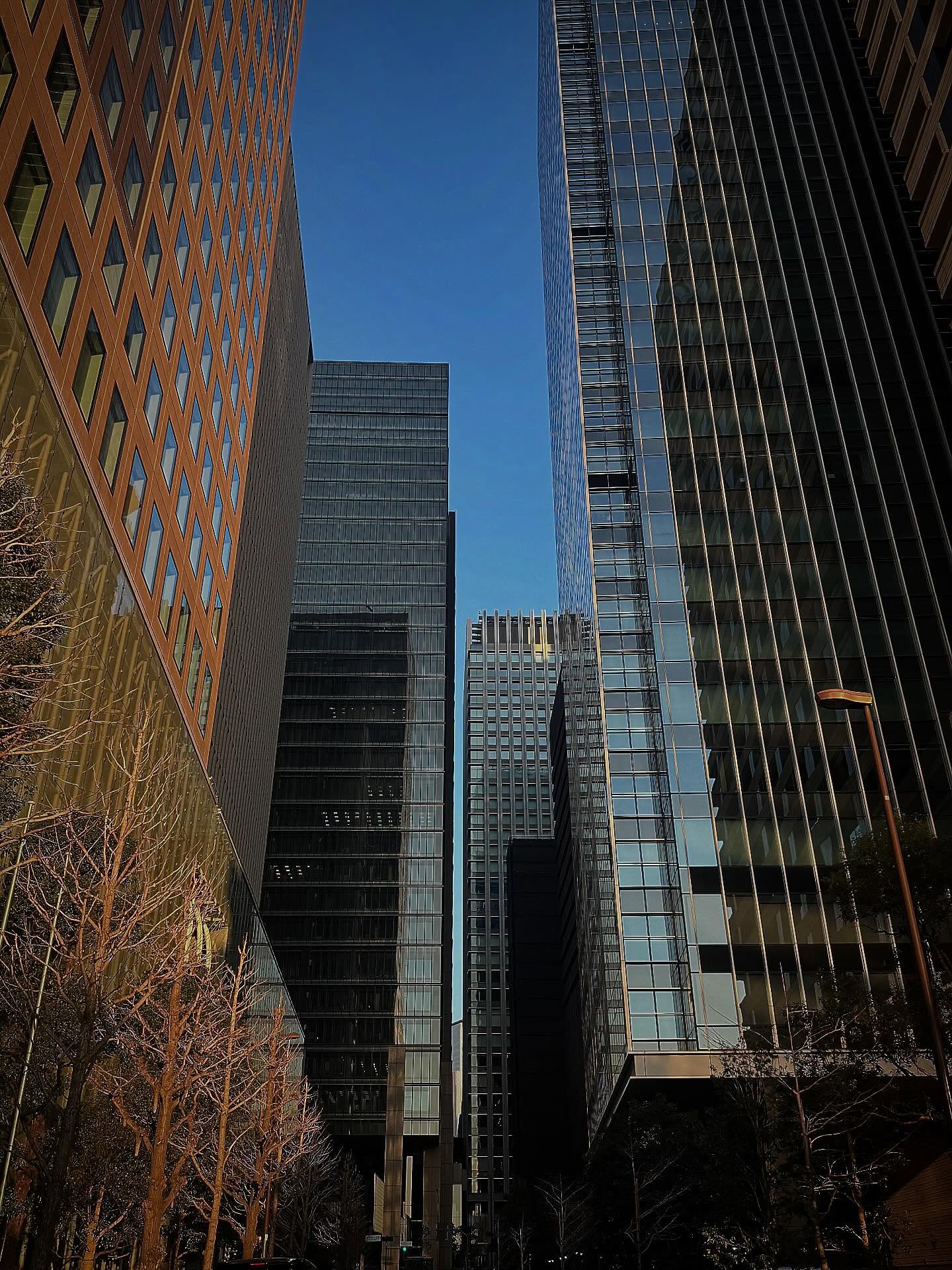 ปั้นจั่น - ปรมะ อิ่มอโนทัย