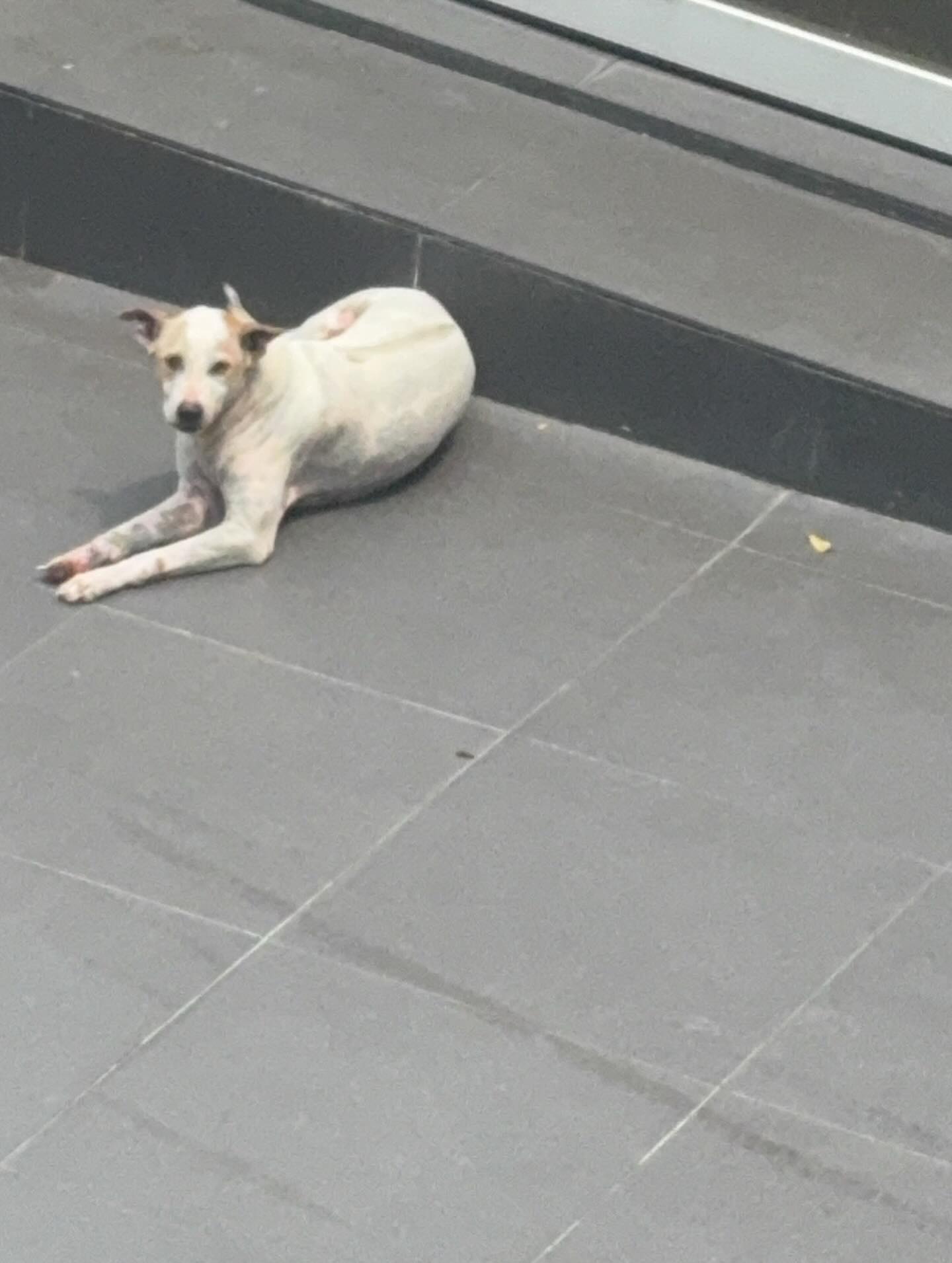 ปั้นจั่น - ปรมะ อิ่มอโนทัย