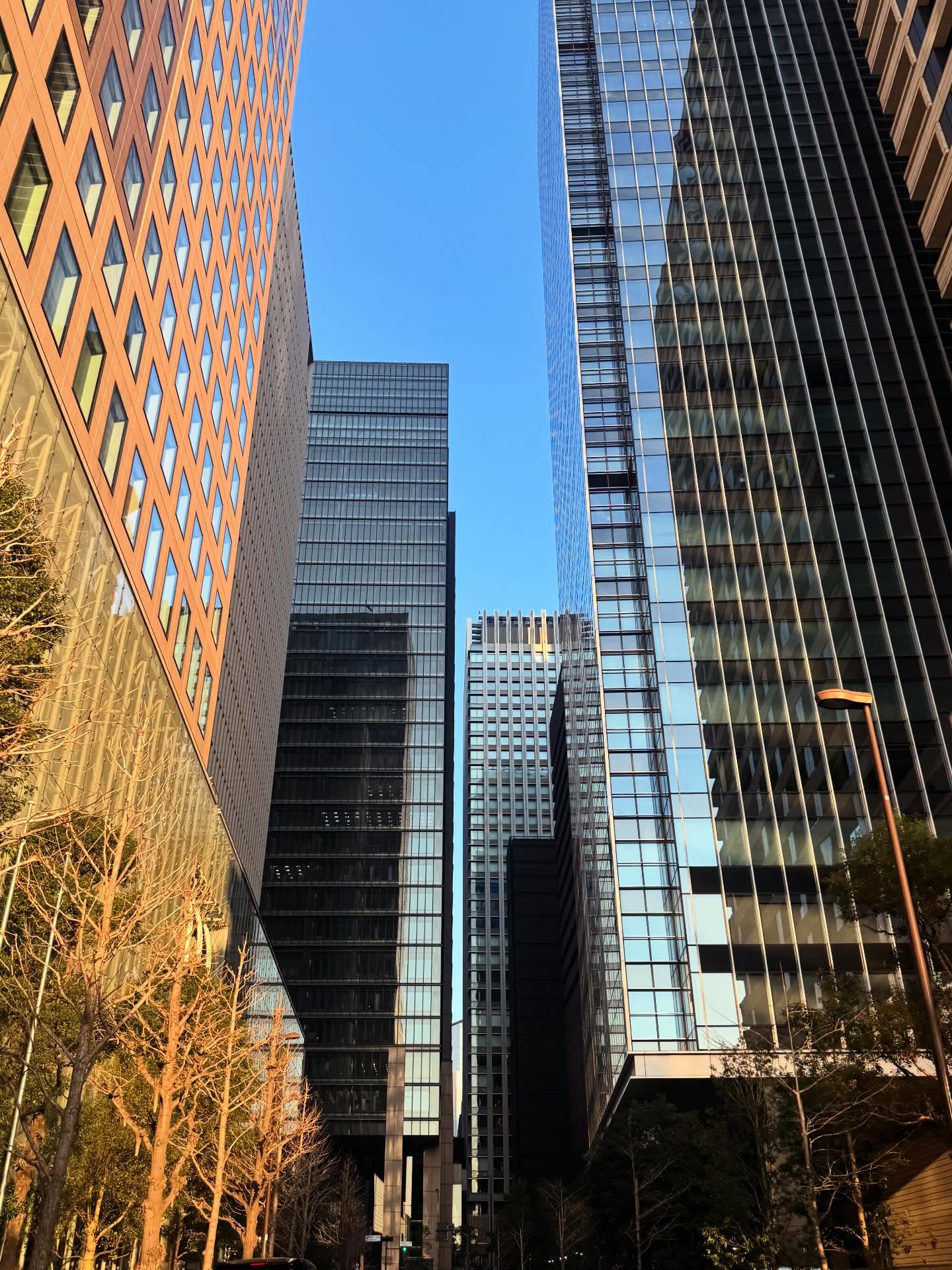 ปั้นจั่น - ปรมะ อิ่มอโนทัย