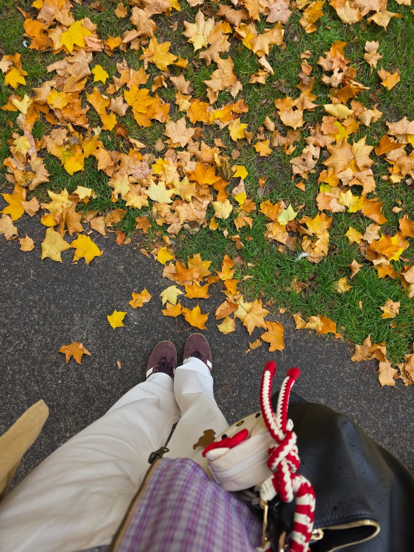 อิ้งค์ - วรันธร เปานิล