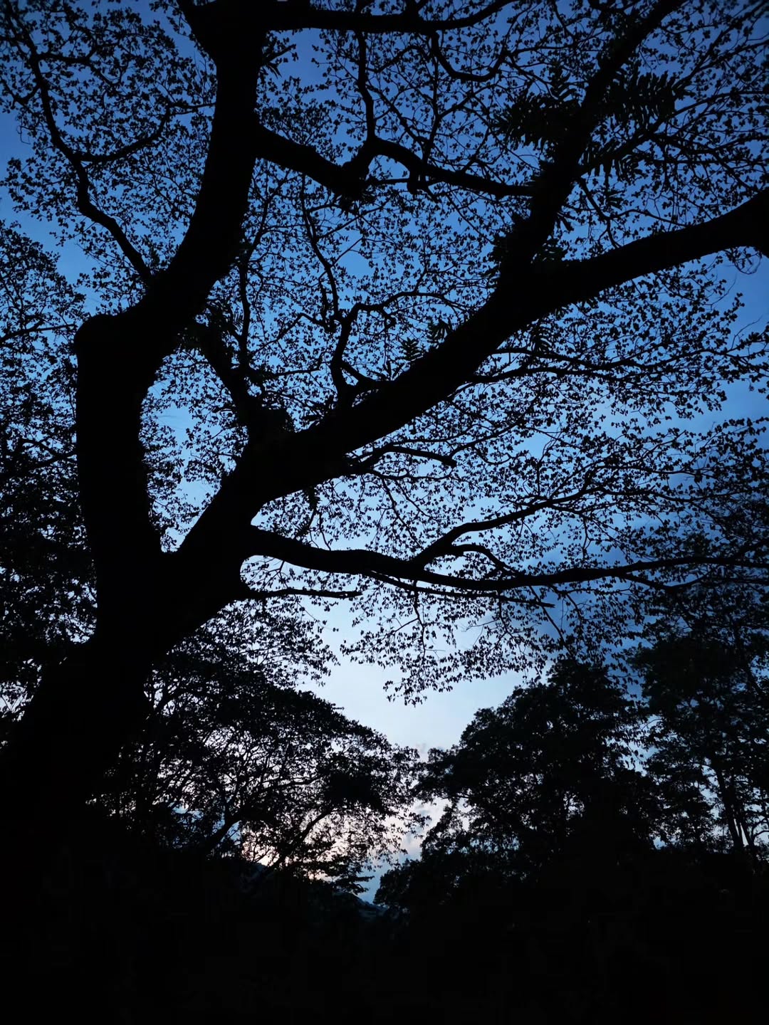 อิ้งค์ - วรันธร เปานิล