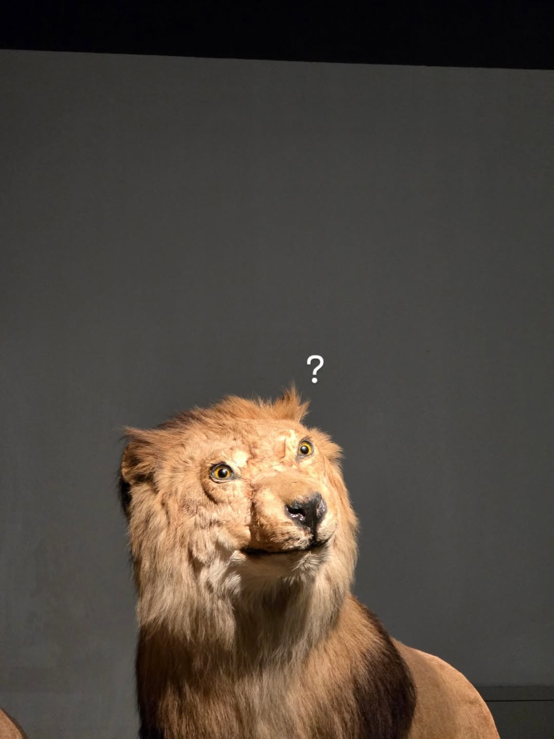 อิ้งค์ - วรันธร เปานิล