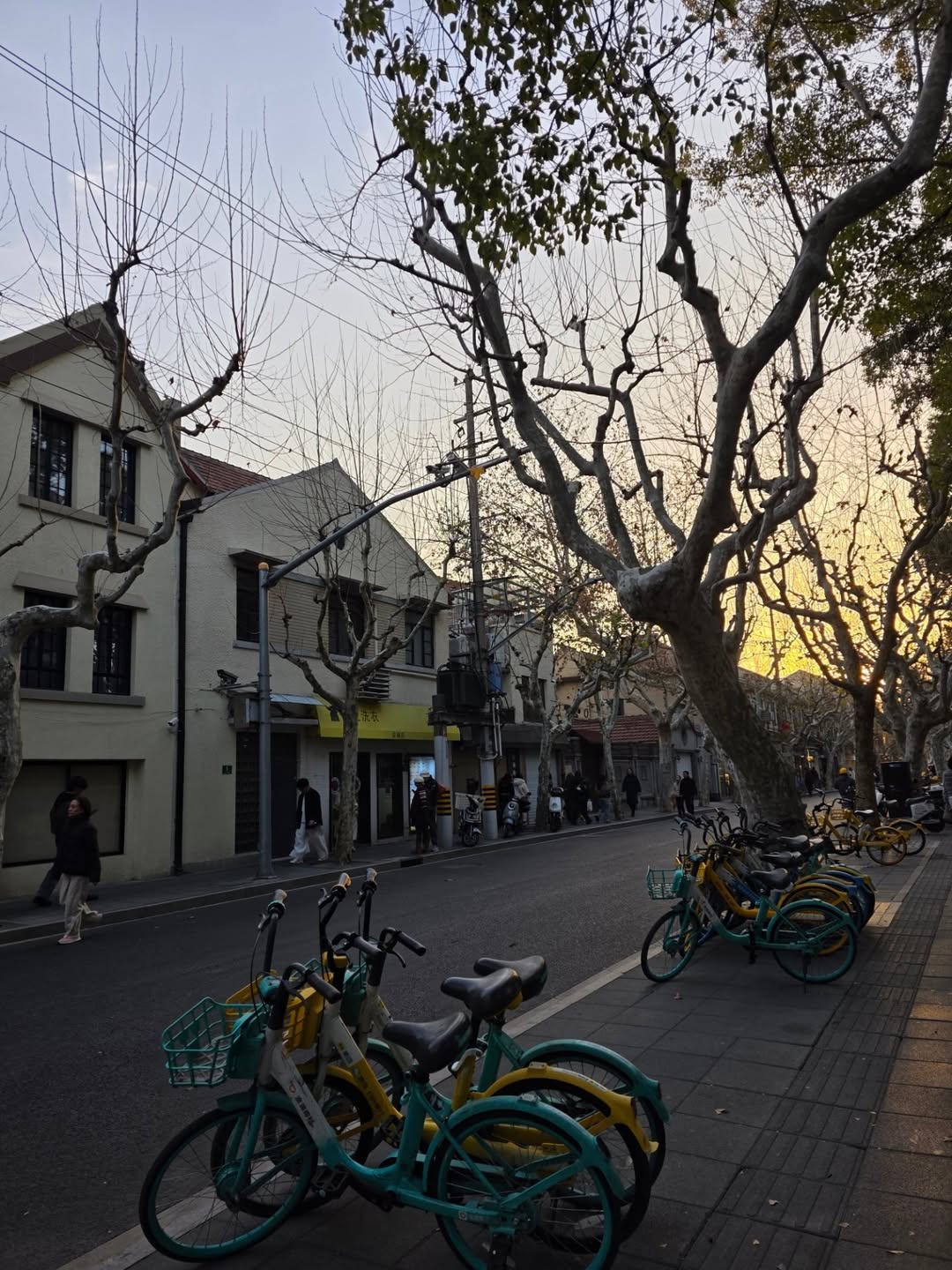 อิ้งค์ - วรันธร เปานิล