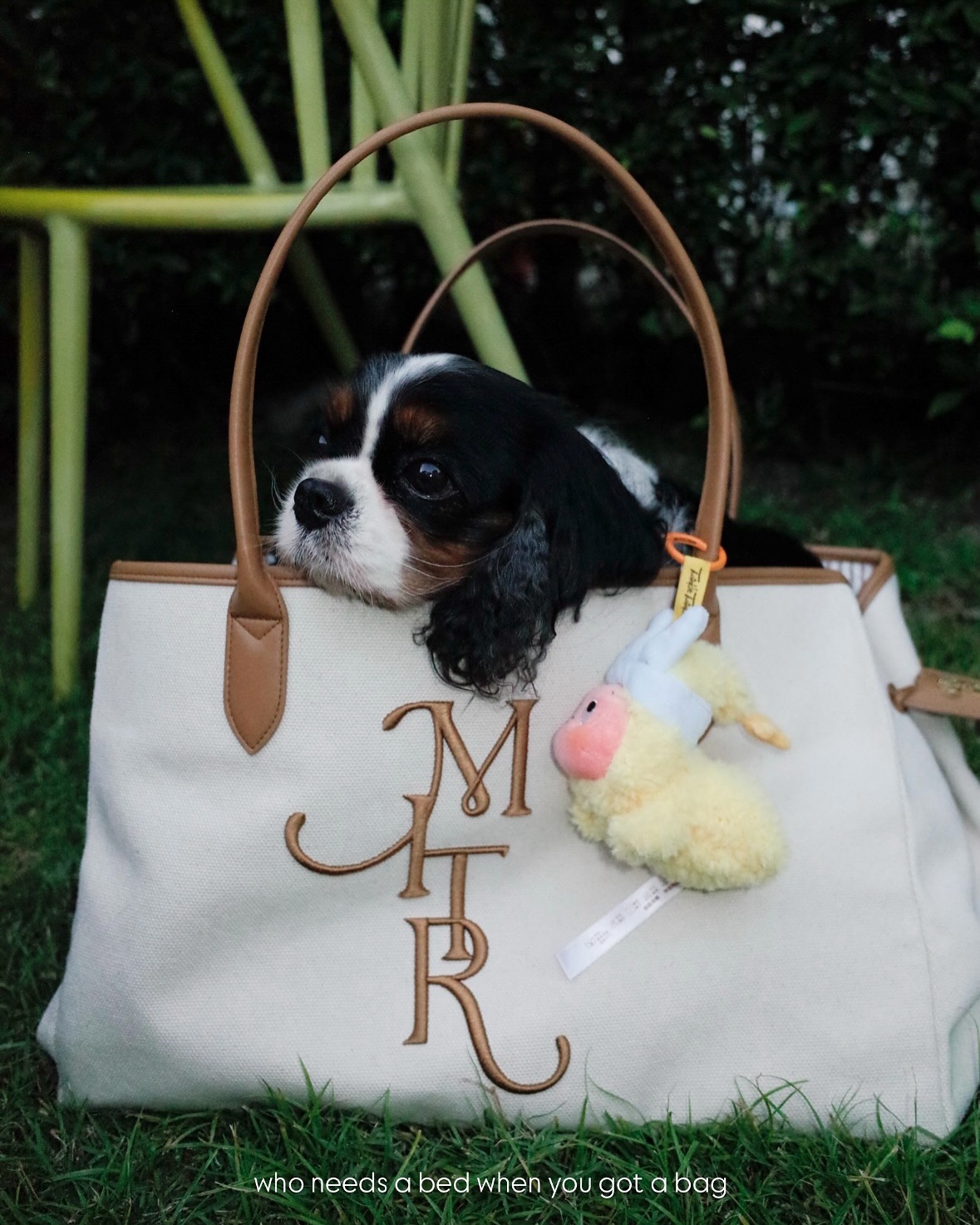 มิ้นต์ - ชาลิดา วิจิตรวงศ์ทอง