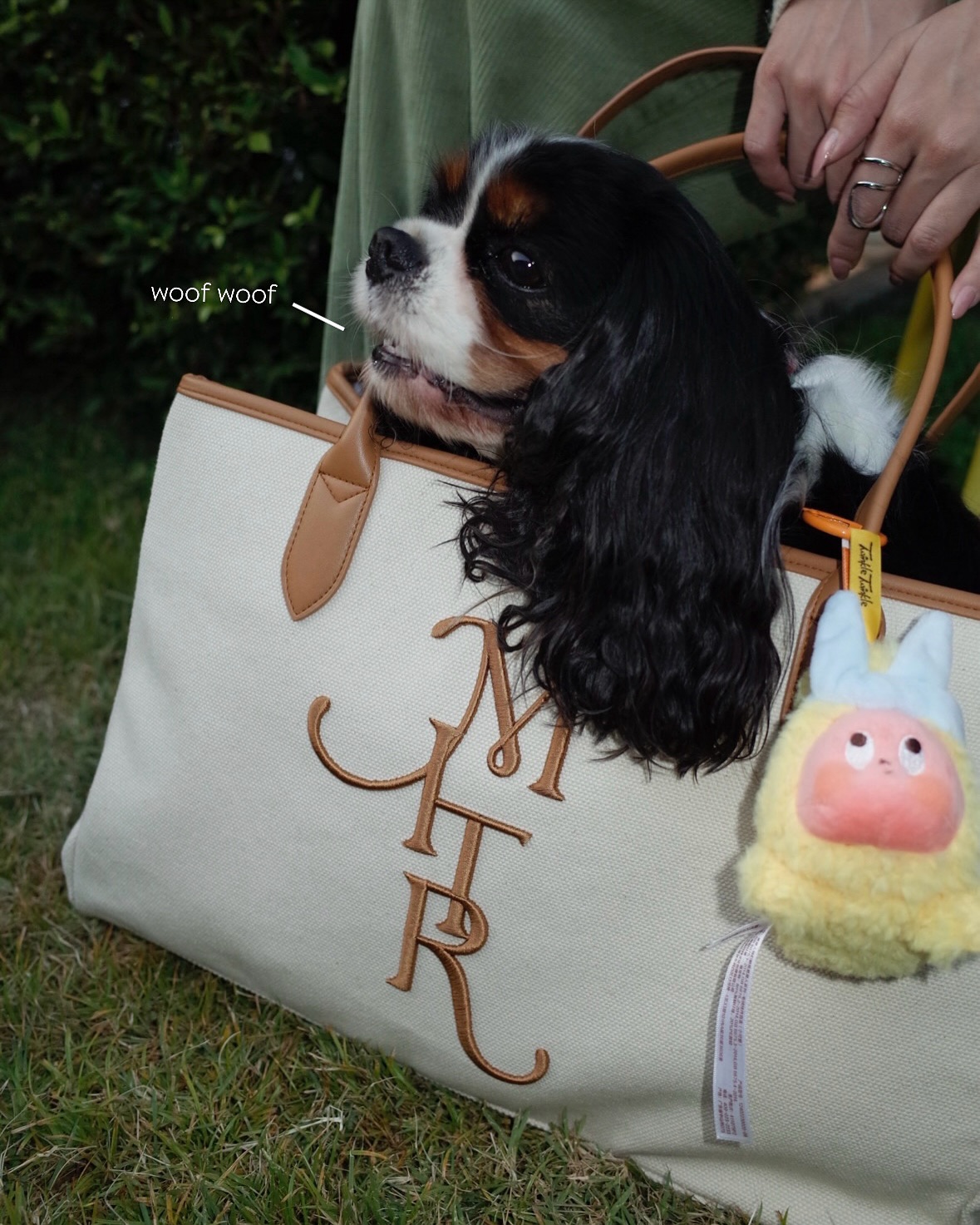 มิ้นต์ - ชาลิดา วิจิตรวงศ์ทอง