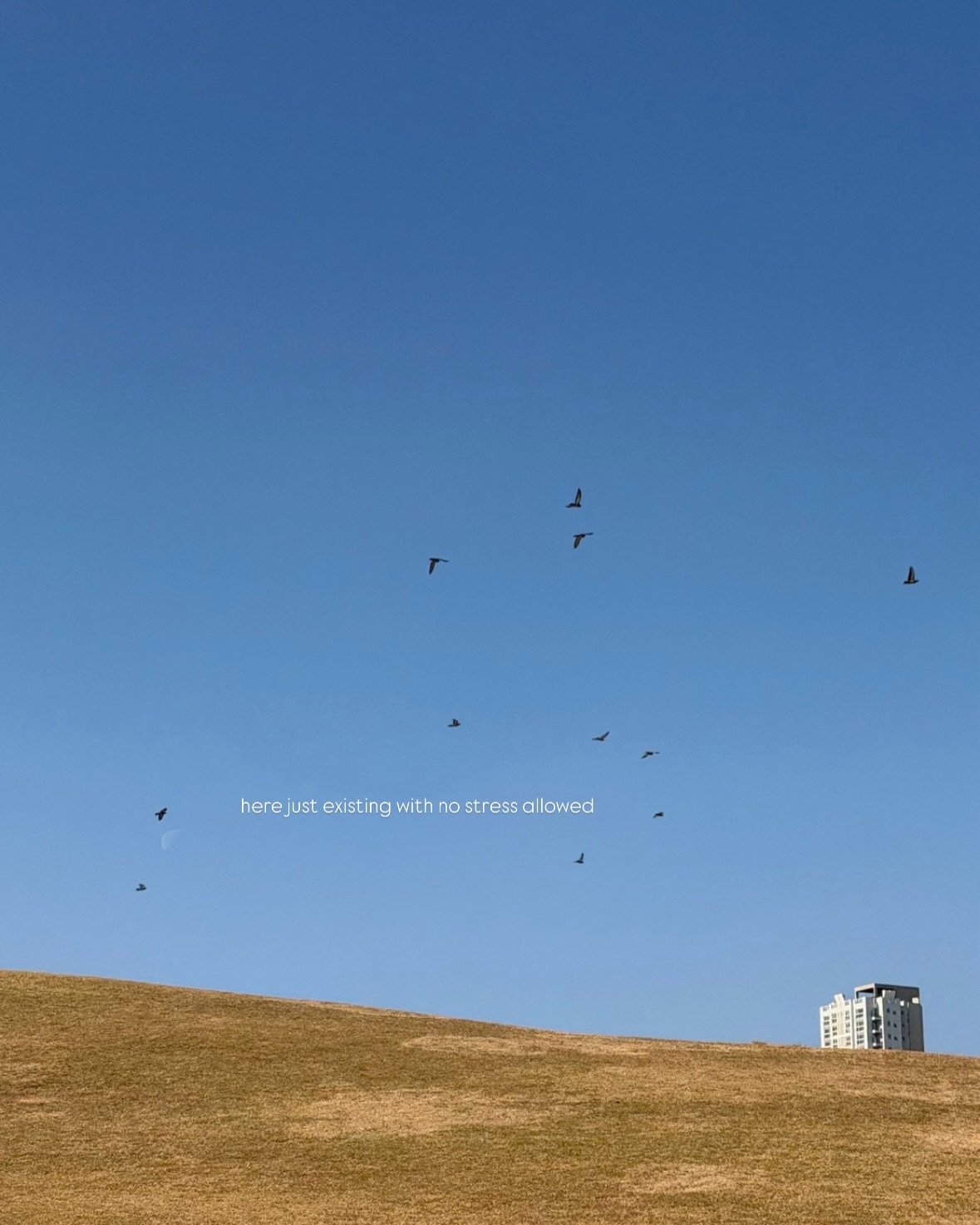 มิ้นต์ - ชาลิดา วิจิตรวงศ์ทอง