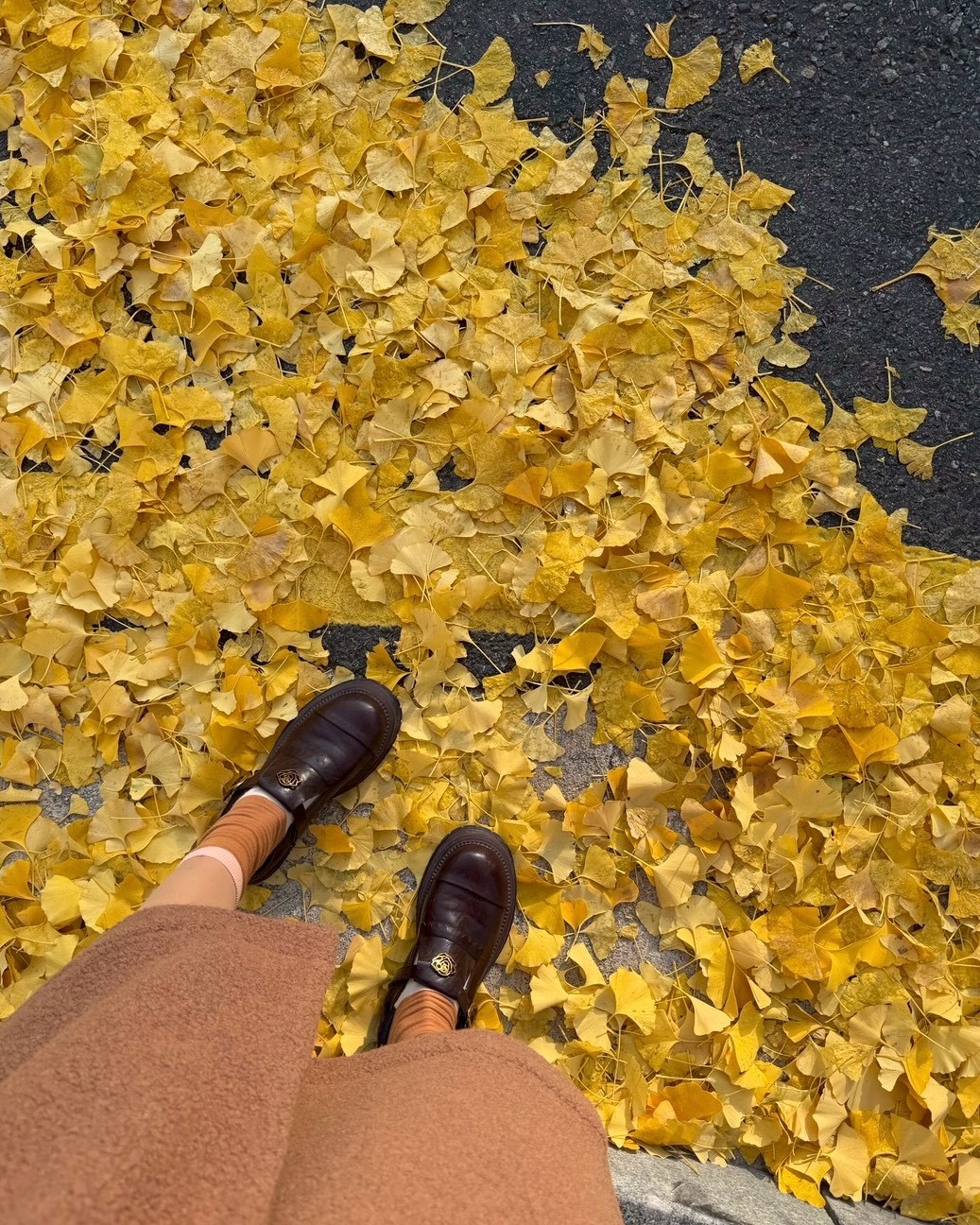 มิ้นต์ - ชาลิดา วิจิตรวงศ์ทอง