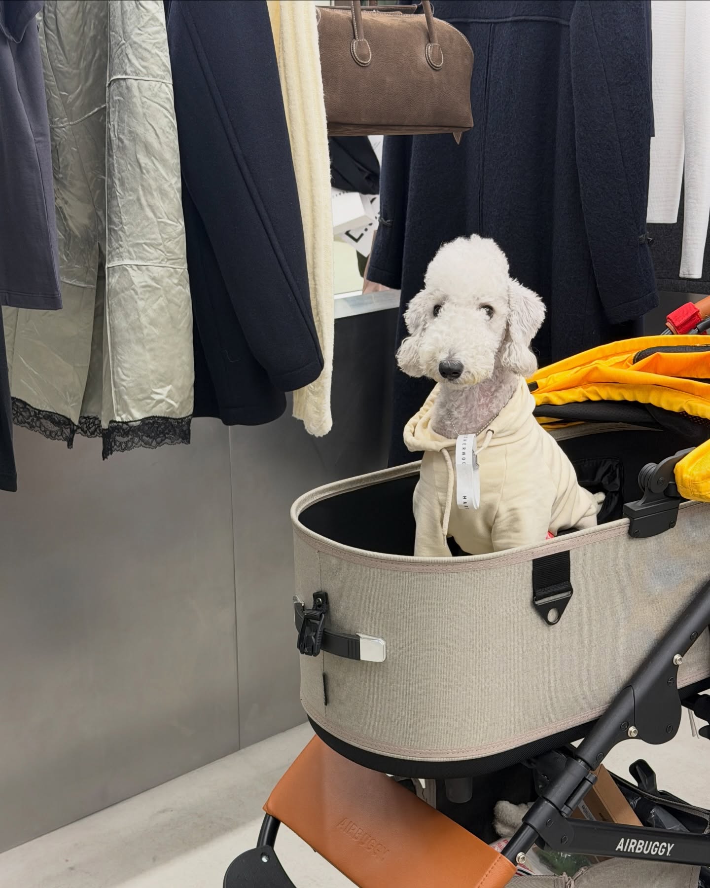 มิ้นต์ - ชาลิดา วิจิตรวงศ์ทอง