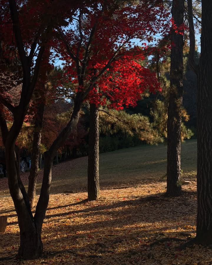 มิ้นต์ - ชาลิดา วิจิตรวงศ์ทอง