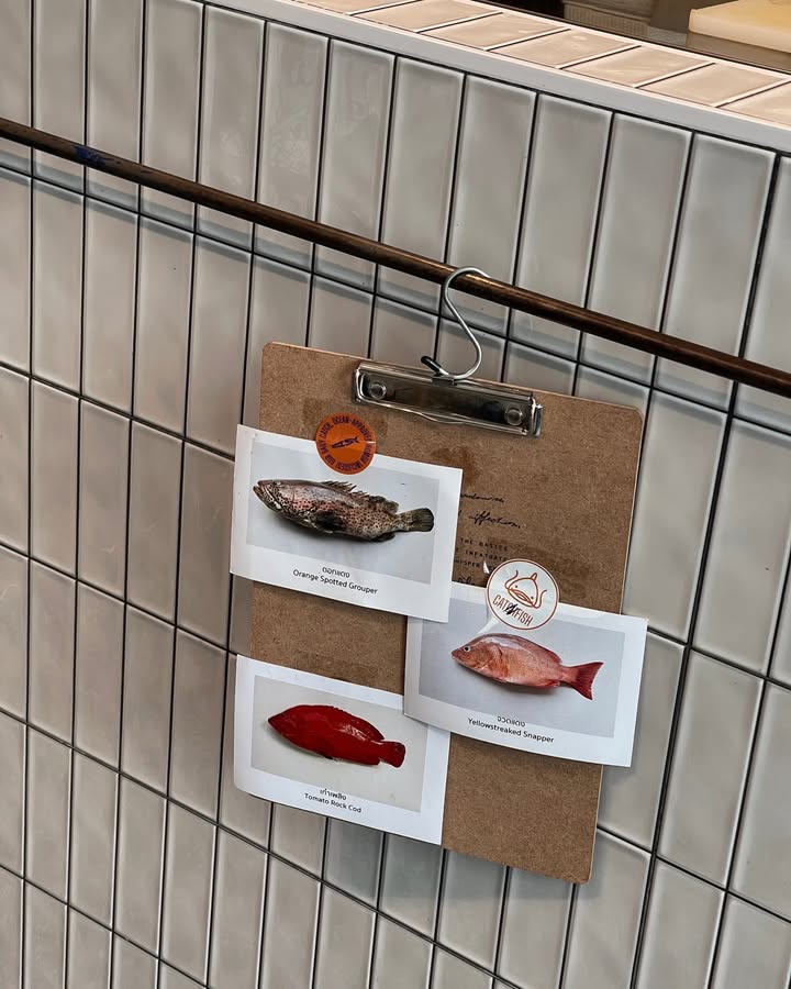 มิ้นต์ - ชาลิดา วิจิตรวงศ์ทอง