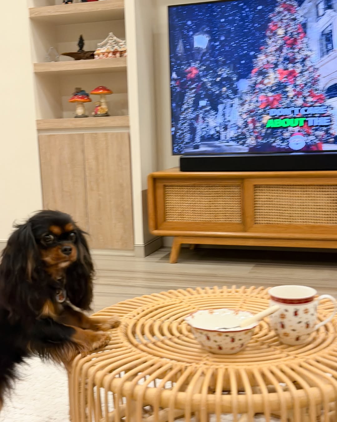 มิ้นต์ - ชาลิดา วิจิตรวงศ์ทอง