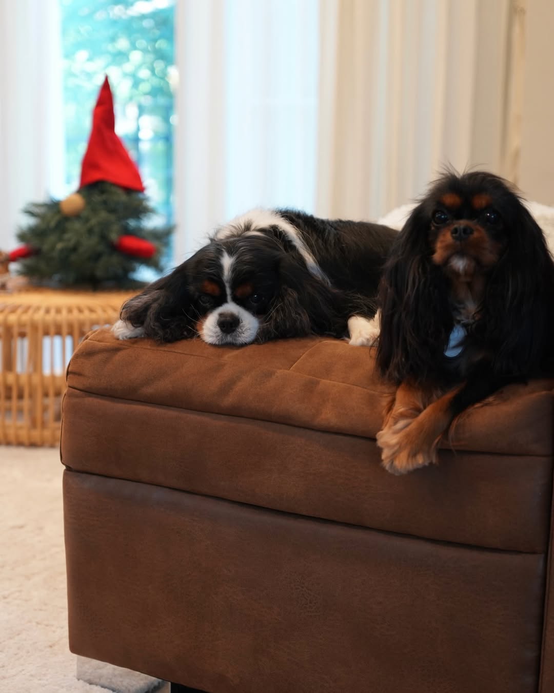 มิ้นต์ - ชาลิดา วิจิตรวงศ์ทอง