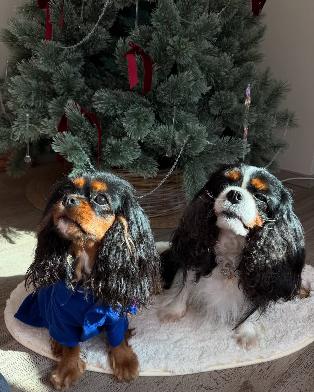 มิ้นต์ - ชาลิดา วิจิตรวงศ์ทอง