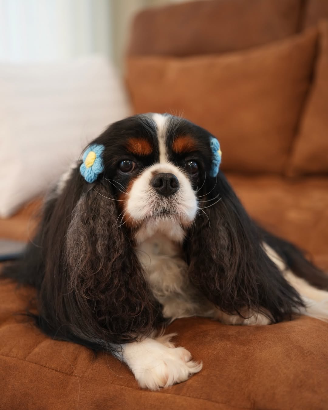 มิ้นต์ - ชาลิดา วิจิตรวงศ์ทอง