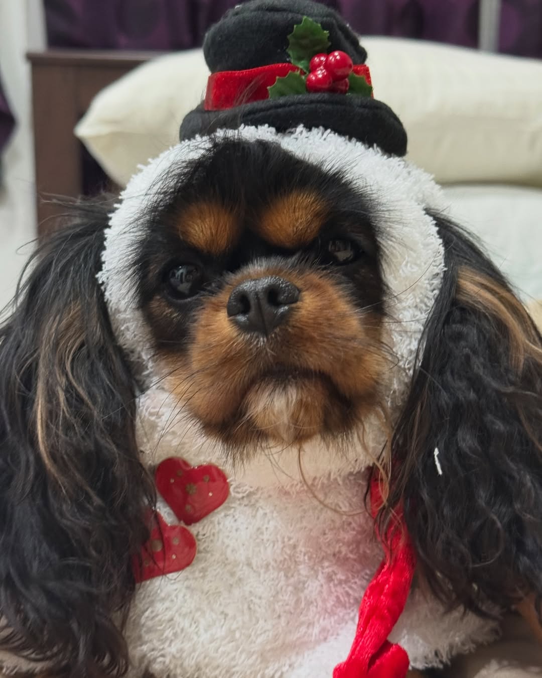 มิ้นต์ - ชาลิดา วิจิตรวงศ์ทอง