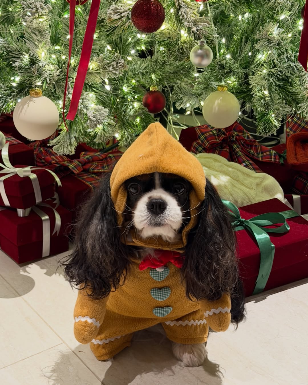 มิ้นต์ - ชาลิดา วิจิตรวงศ์ทอง