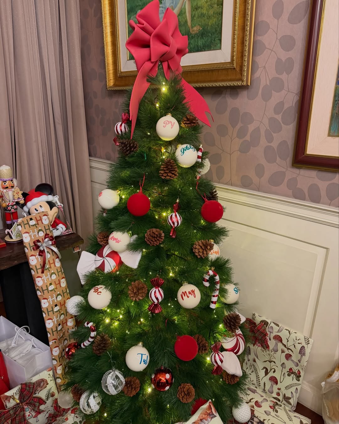 มิ้นต์ - ชาลิดา วิจิตรวงศ์ทอง