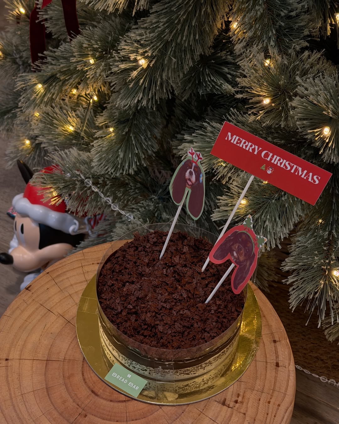 มิ้นต์ - ชาลิดา วิจิตรวงศ์ทอง