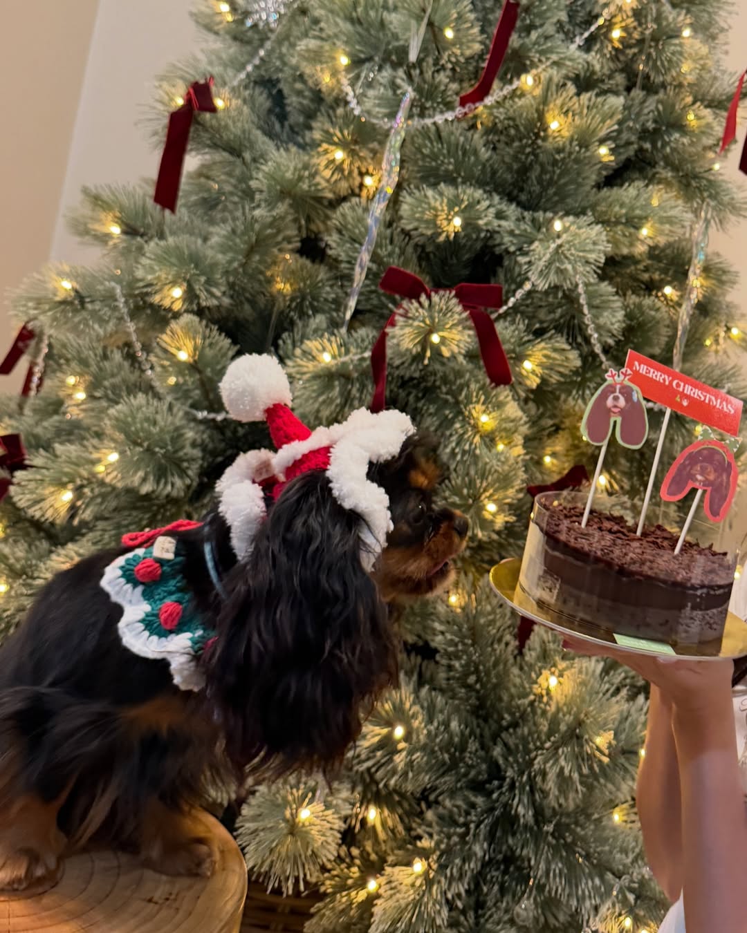 มิ้นต์ - ชาลิดา วิจิตรวงศ์ทอง