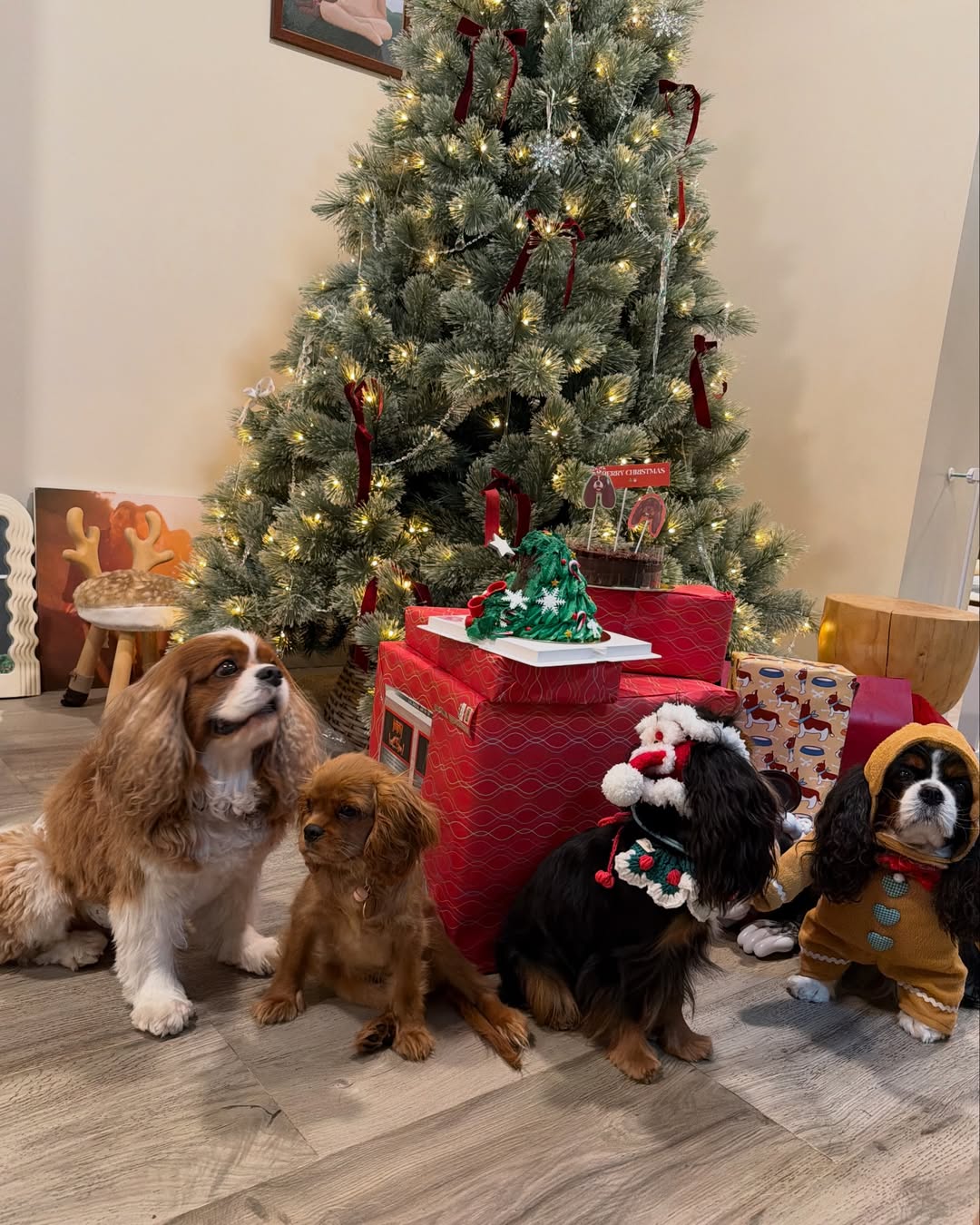 มิ้นต์ - ชาลิดา วิจิตรวงศ์ทอง