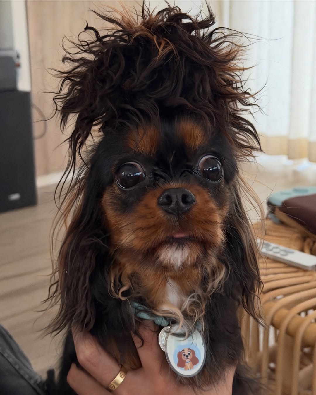 มิ้นต์ - ชาลิดา วิจิตรวงศ์ทอง