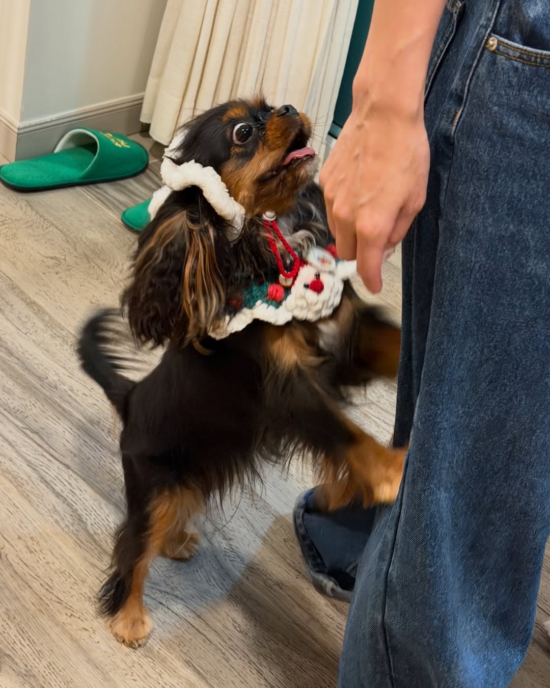 มิ้นต์ - ชาลิดา วิจิตรวงศ์ทอง