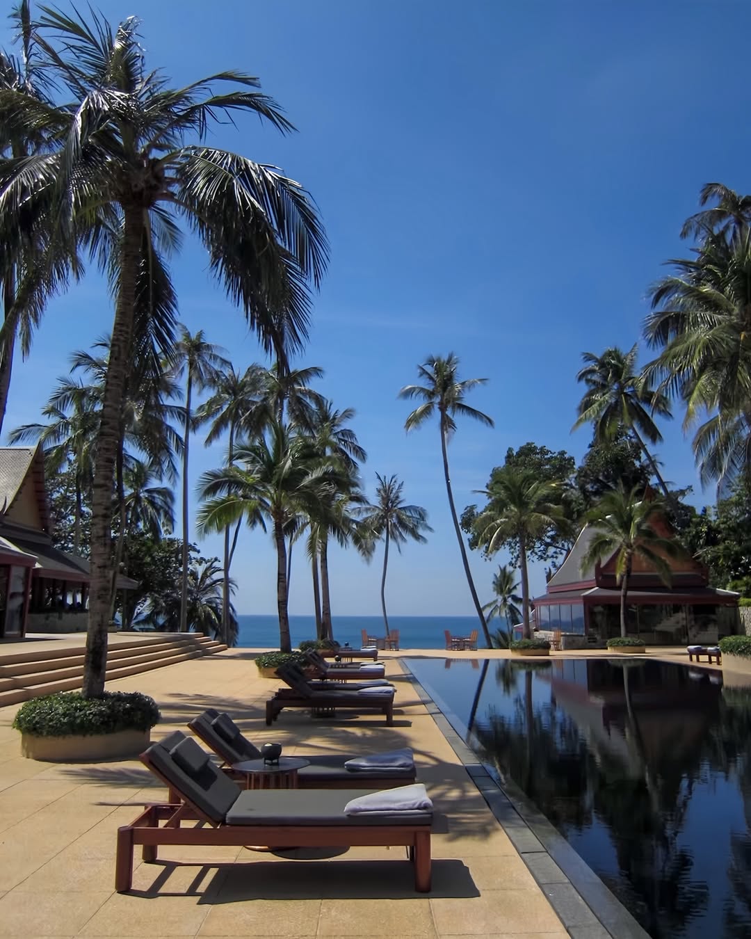 มิ้นต์ - ชาลิดา วิจิตรวงศ์ทอง