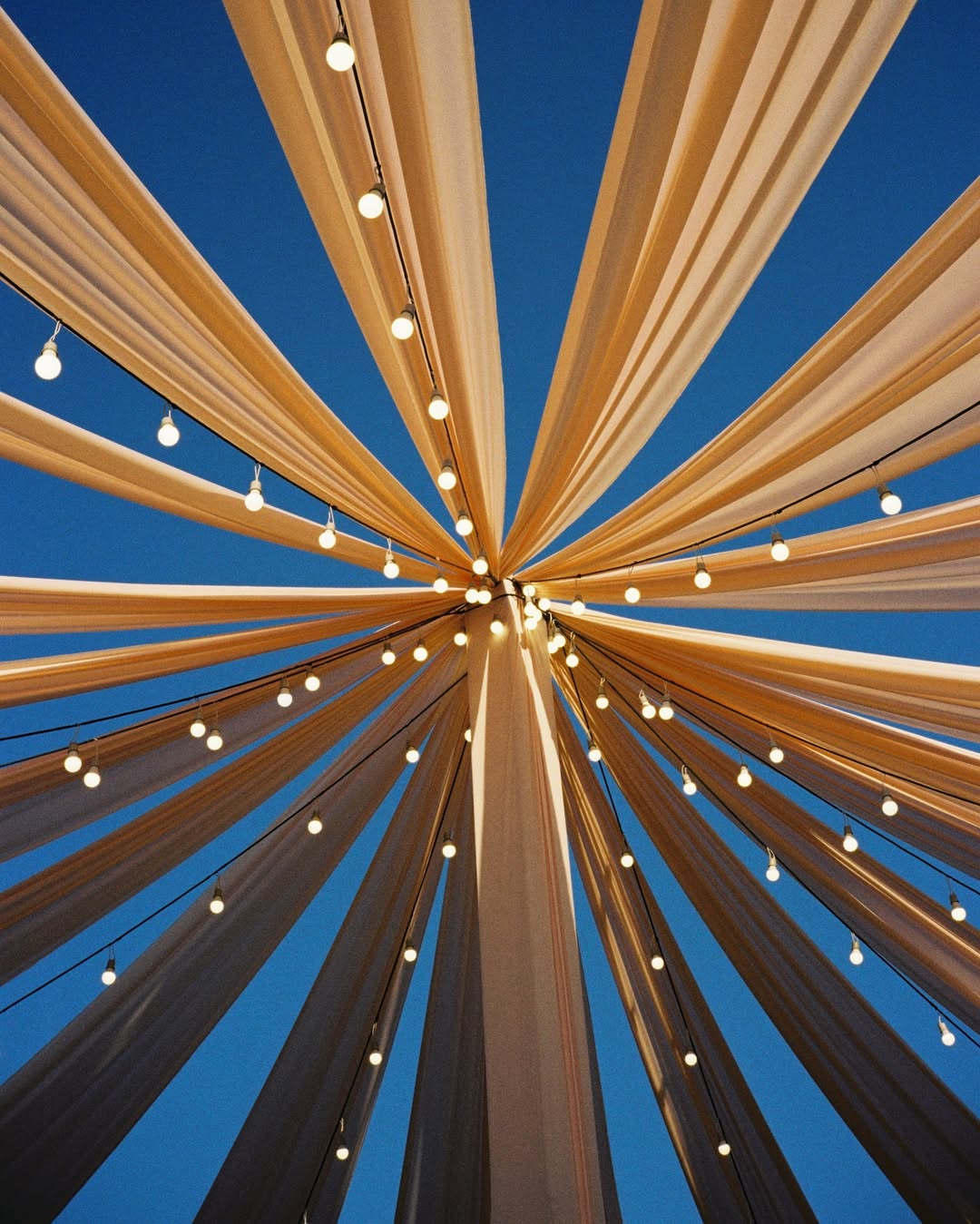 มิ้นต์ - ชาลิดา วิจิตรวงศ์ทอง