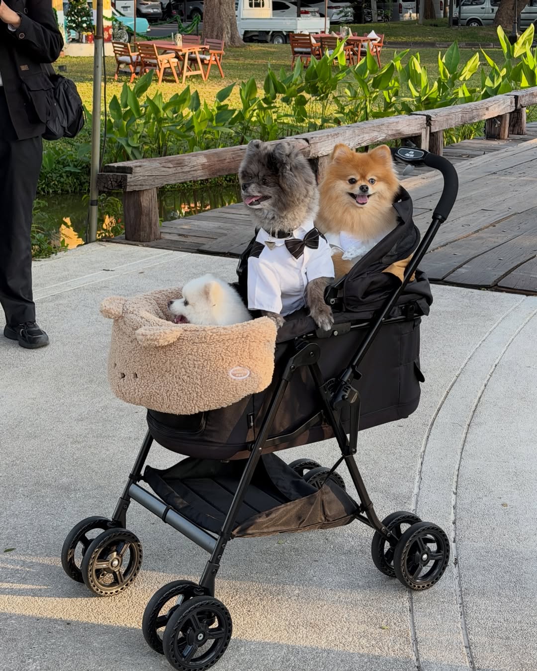 มิ้นต์ - ชาลิดา วิจิตรวงศ์ทอง