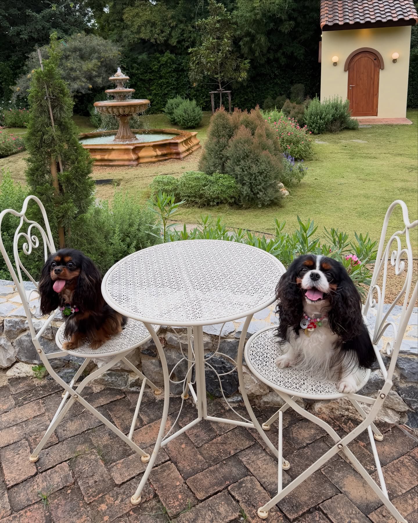 มิ้นต์ - ชาลิดา วิจิตรวงศ์ทอง