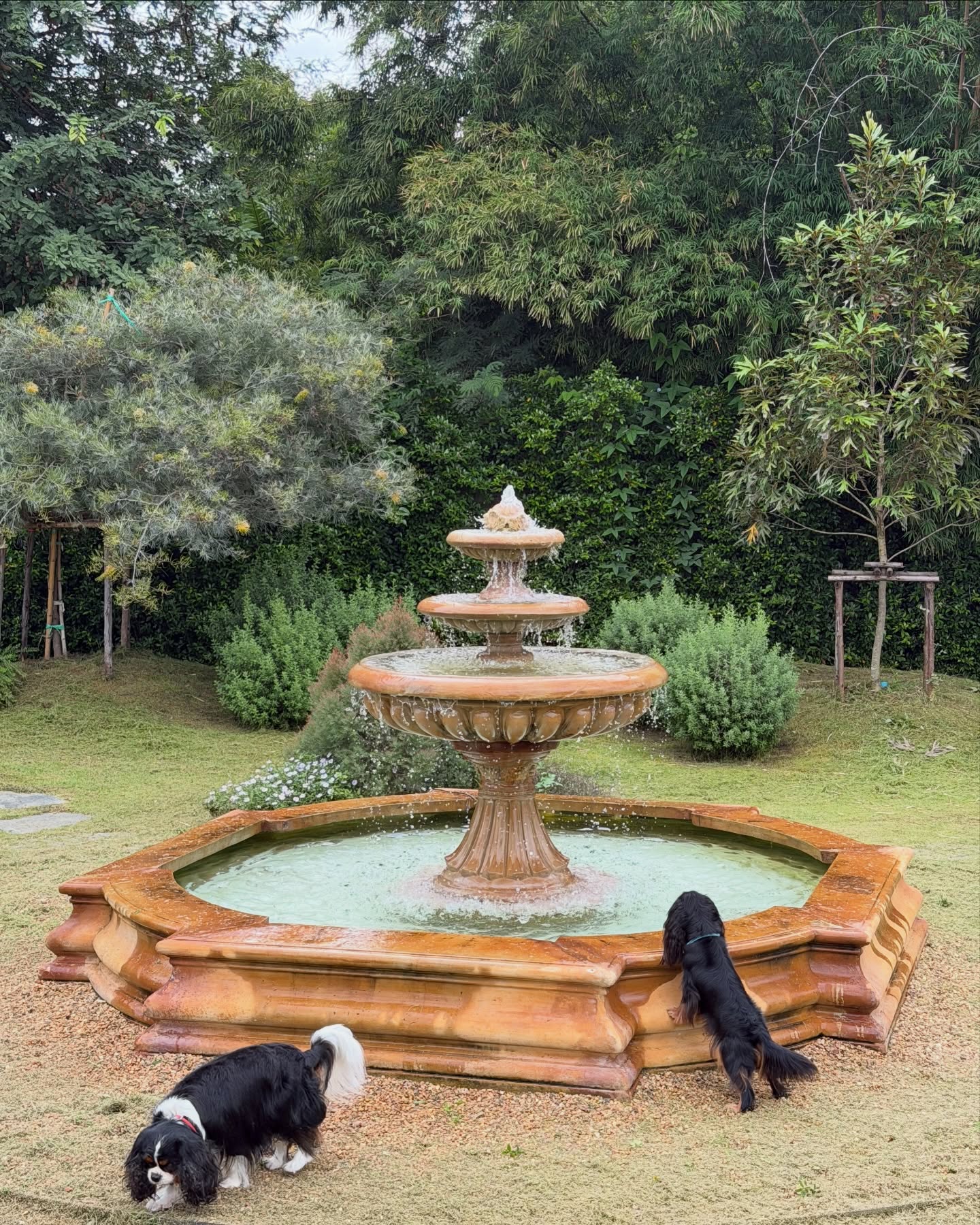 มิ้นต์ - ชาลิดา วิจิตรวงศ์ทอง