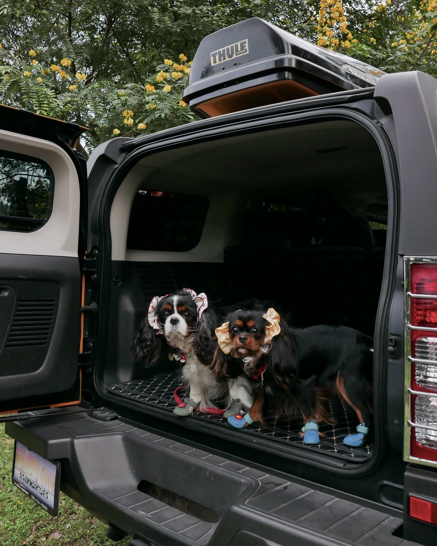 มิ้นต์ - ชาลิดา วิจิตรวงศ์ทอง