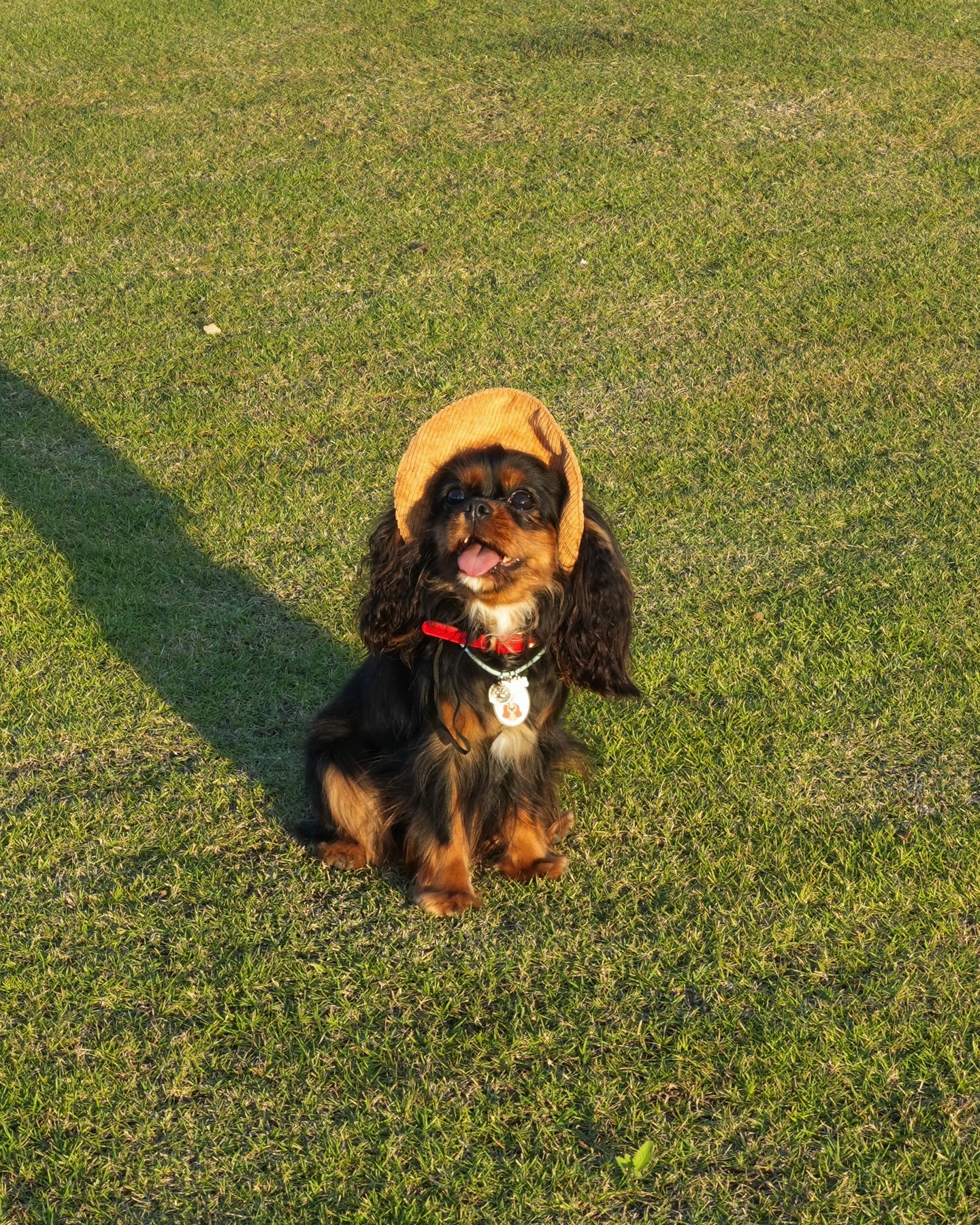 มิ้นต์ - ชาลิดา วิจิตรวงศ์ทอง