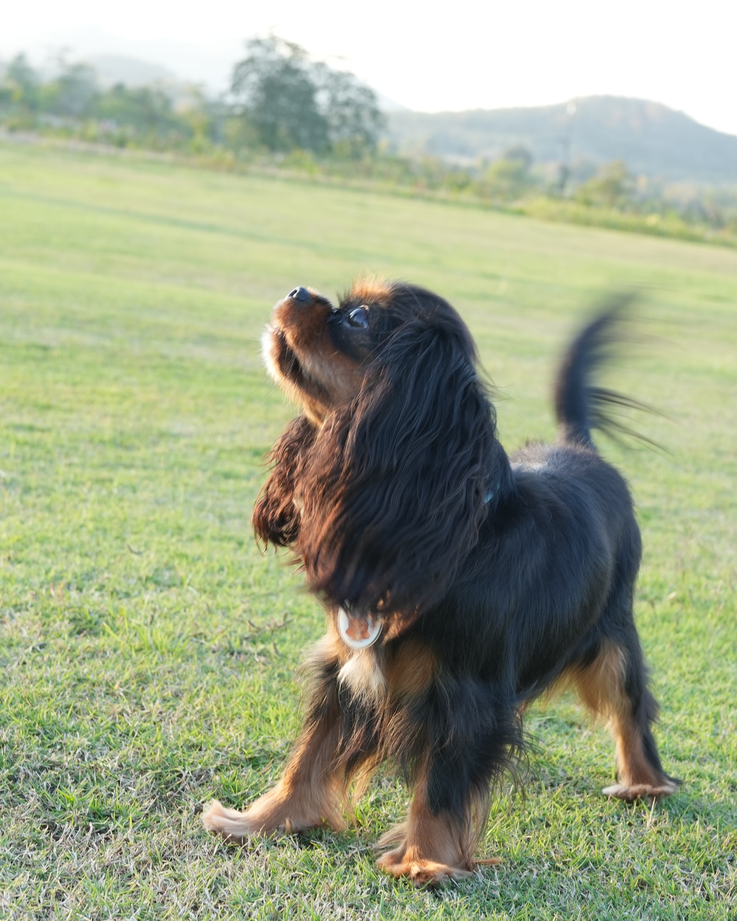 มิ้นต์ - ชาลิดา วิจิตรวงศ์ทอง