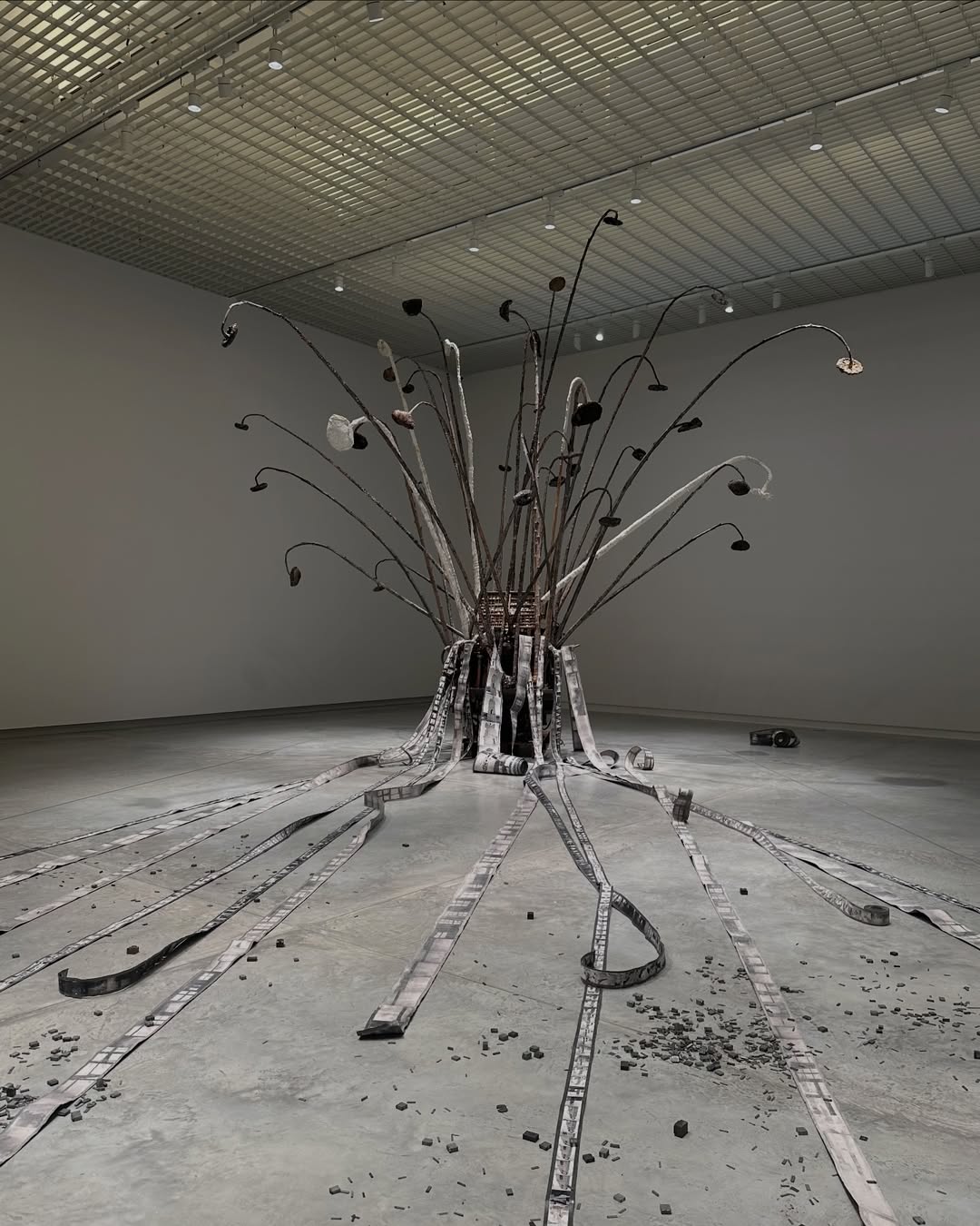 มิ้นต์ - ชาลิดา วิจิตรวงศ์ทอง