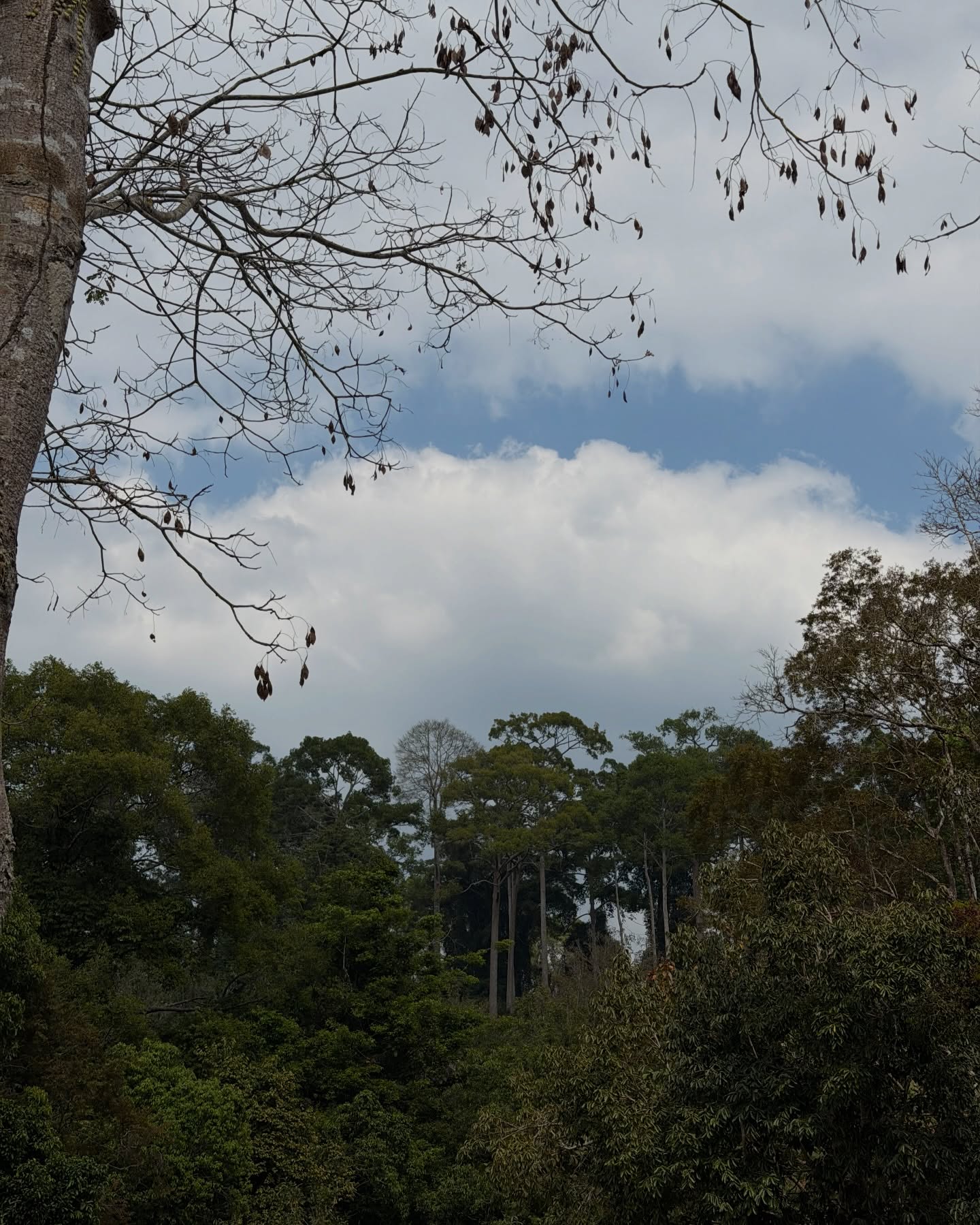 มิ้นต์ - ชาลิดา วิจิตรวงศ์ทอง