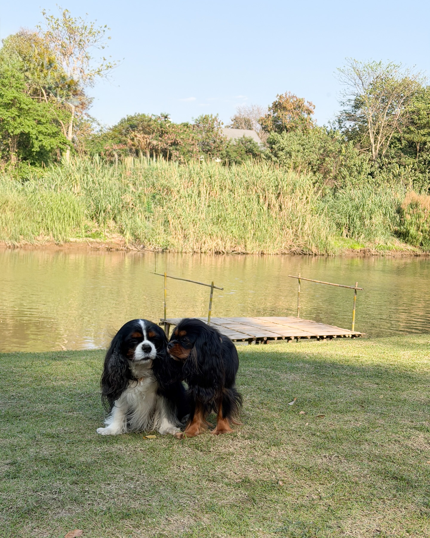 มิ้นต์ - ชาลิดา วิจิตรวงศ์ทอง