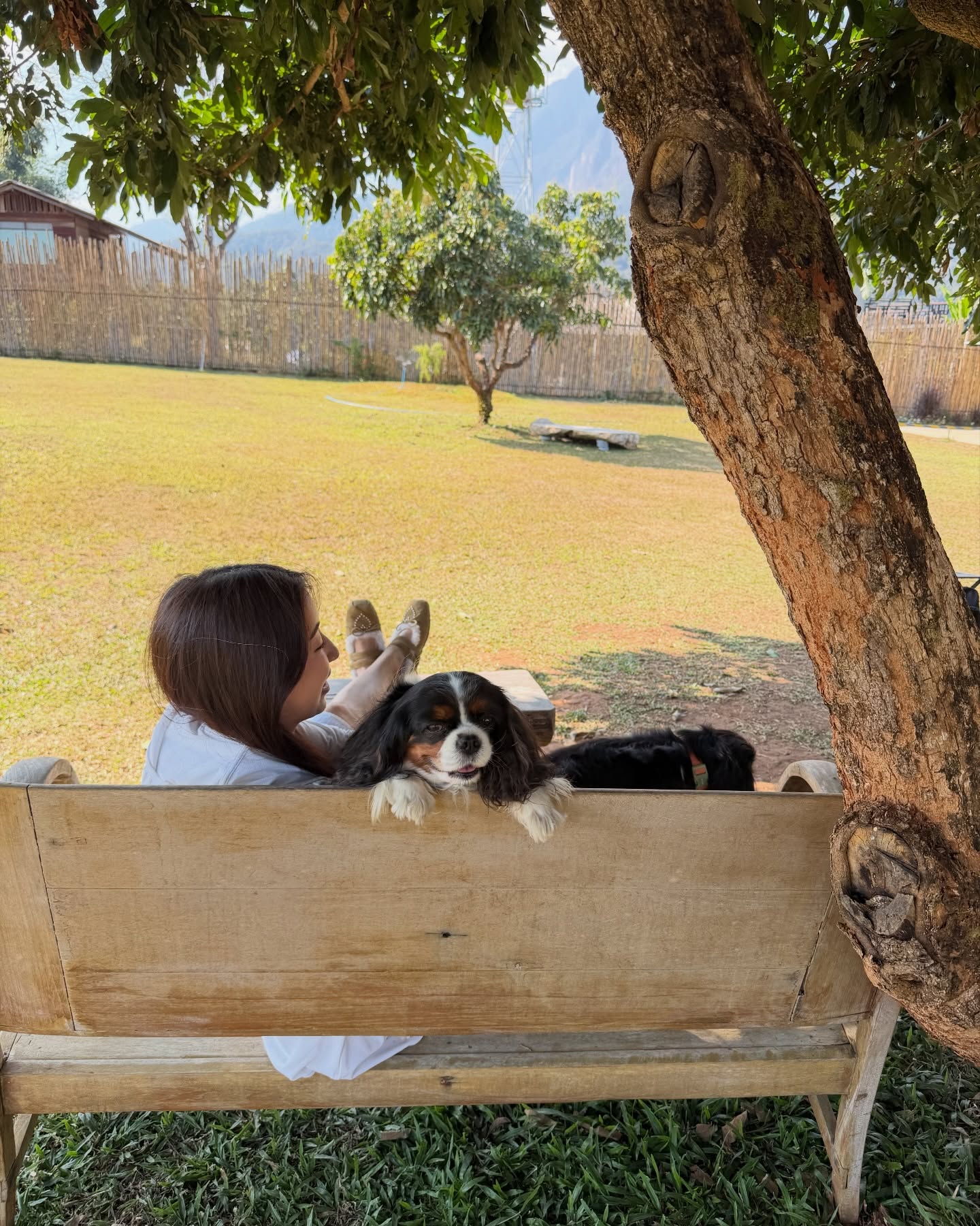 มิ้นต์ - ชาลิดา วิจิตรวงศ์ทอง