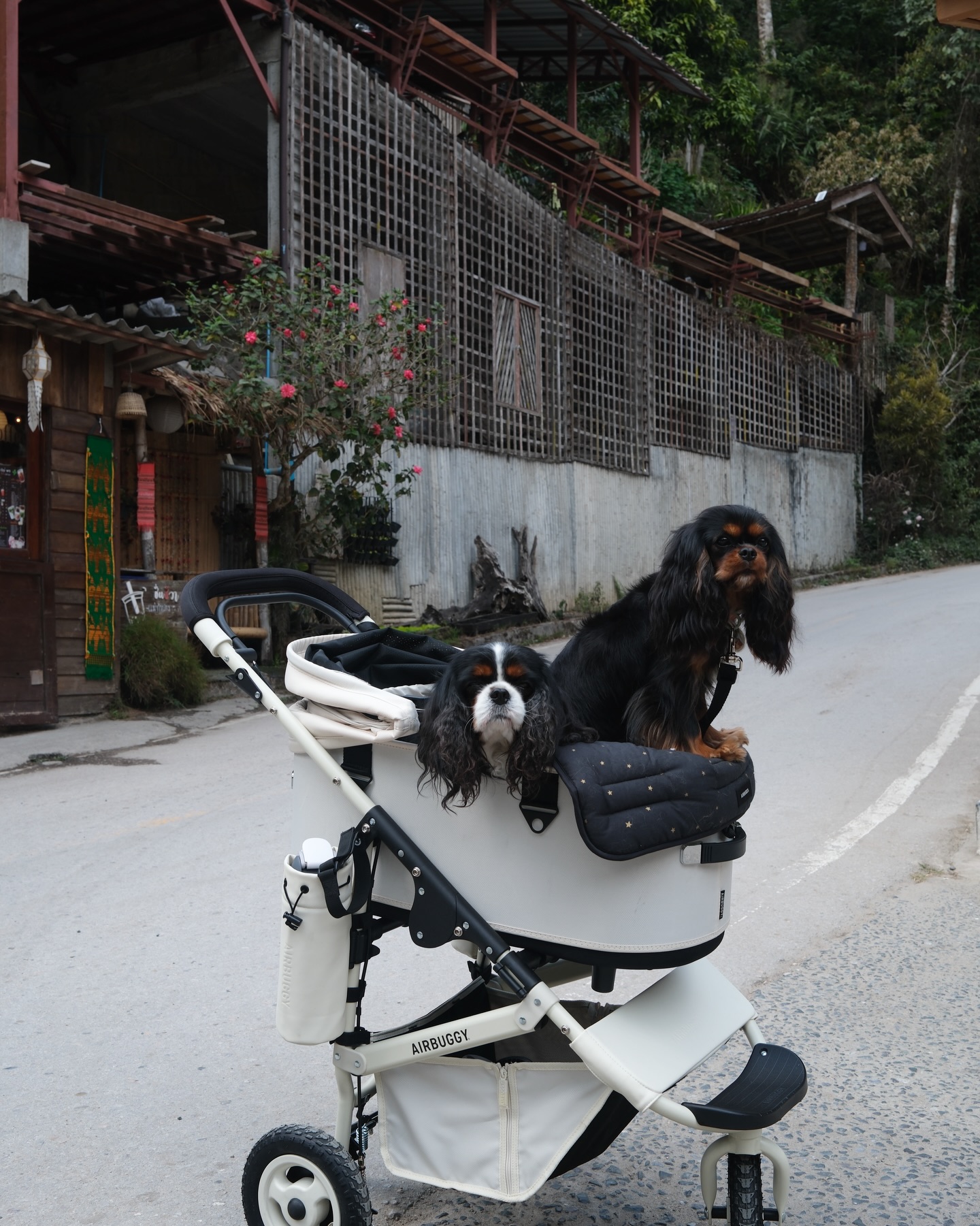 มิ้นต์ - ชาลิดา วิจิตรวงศ์ทอง