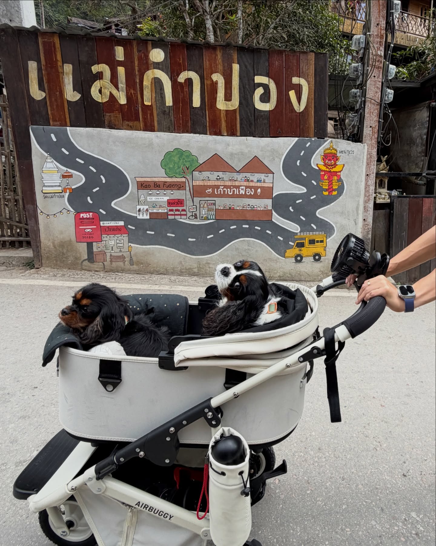 มิ้นต์ - ชาลิดา วิจิตรวงศ์ทอง