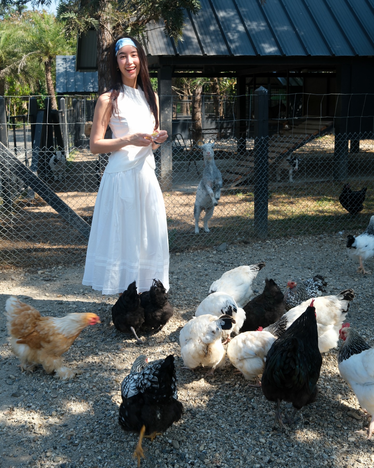 มิ้นต์ - ชาลิดา วิจิตรวงศ์ทอง